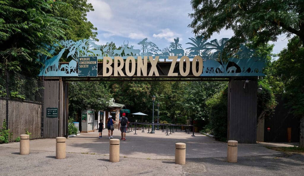 Top 35 Tourist Attractions: Sight Seeing in New York City