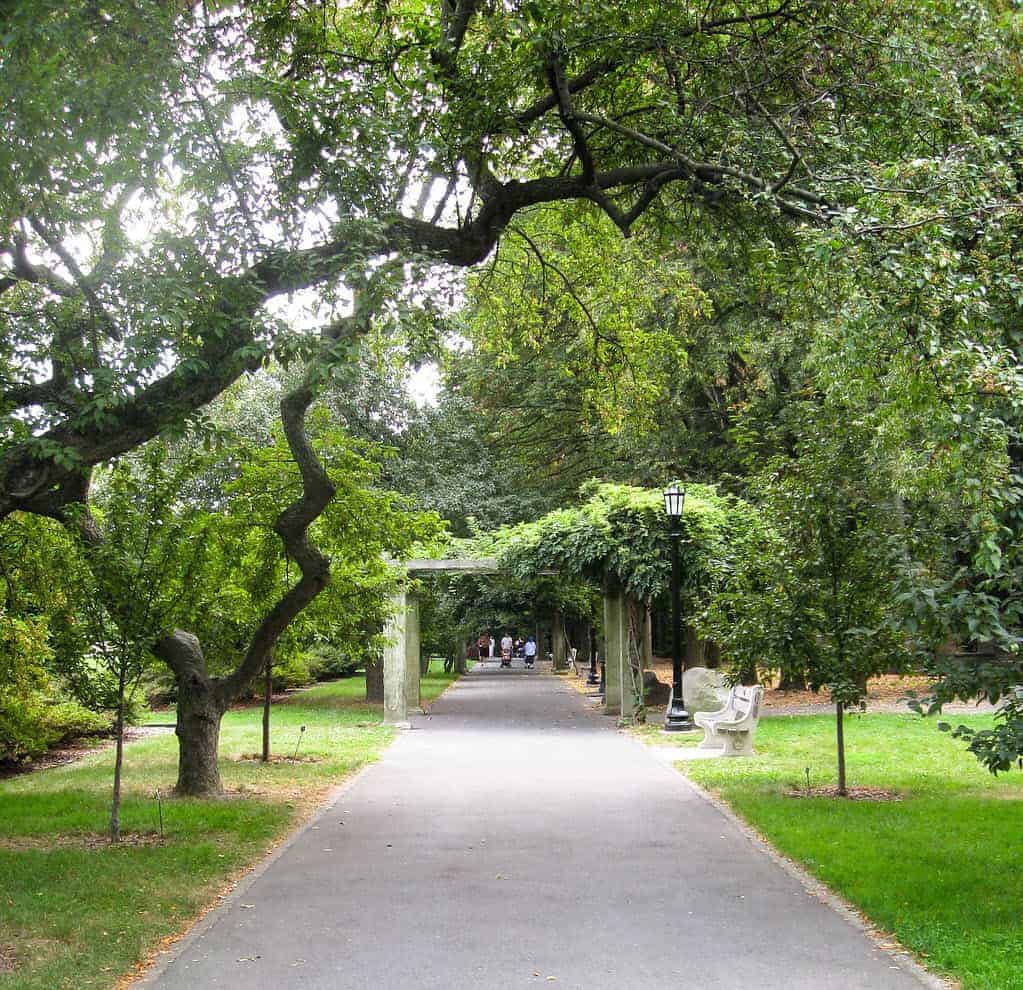 Top 35 Tourist Attractions: Sight Seeing in New York City