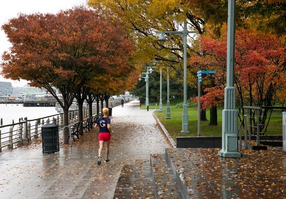 fall foliage Hudson River Park – Manhattan