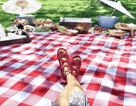 Picnic in Central Park
